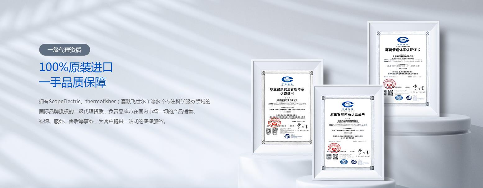 公司优势：技术领先与专业服务并重
